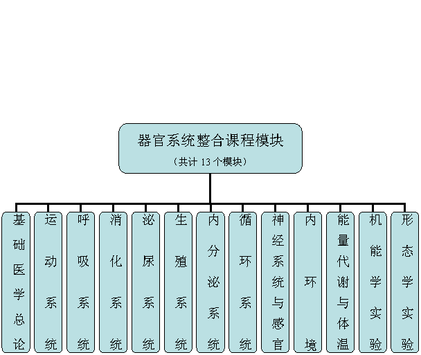 组织结构图